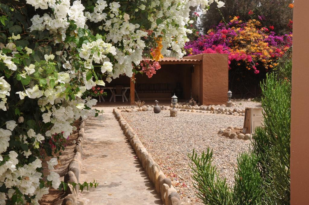 La Palmeraie De Massa Zaouit Massa Ngoại thất bức ảnh