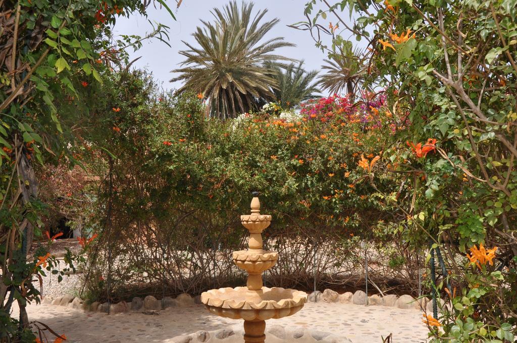 La Palmeraie De Massa Zaouit Massa Ngoại thất bức ảnh